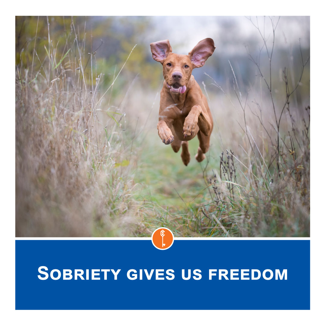 Sobriety Gives us Freedom