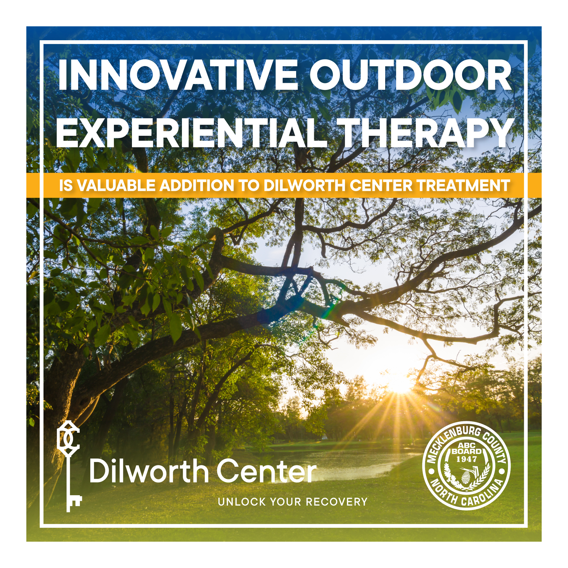 INNOVATIVE OUTDOOR EXPERIENTIAL THERAPY