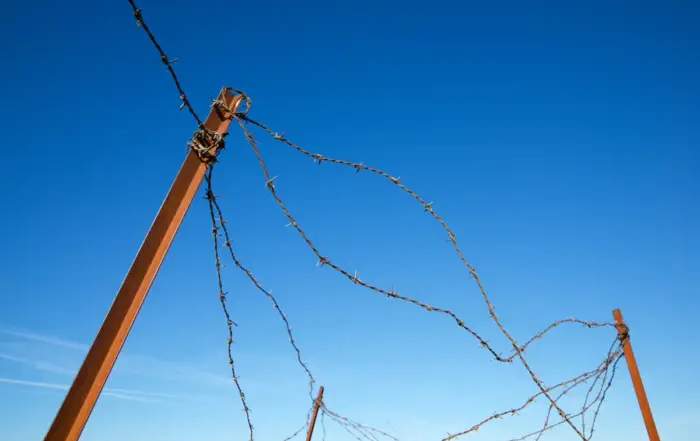 Barbed wire against a clear blue sky, representing the struggle and barriers faced when quitting fentanyl.