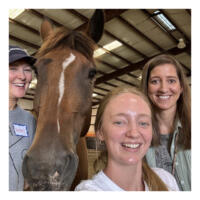 Equine Therapy for Addiction and Substance Use Disorder